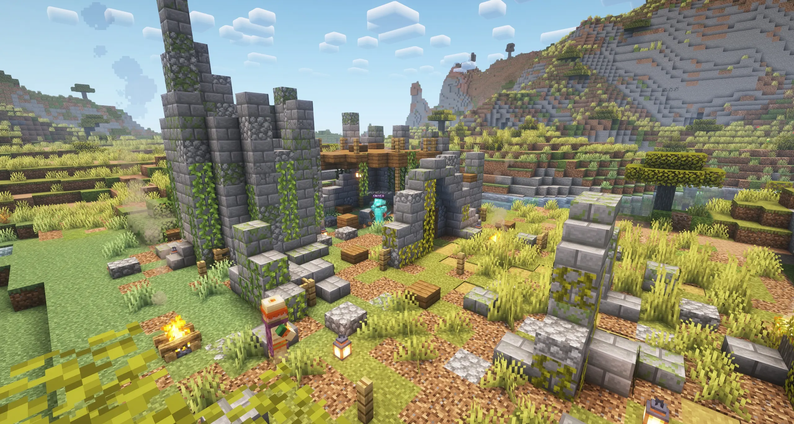 Image du jeu