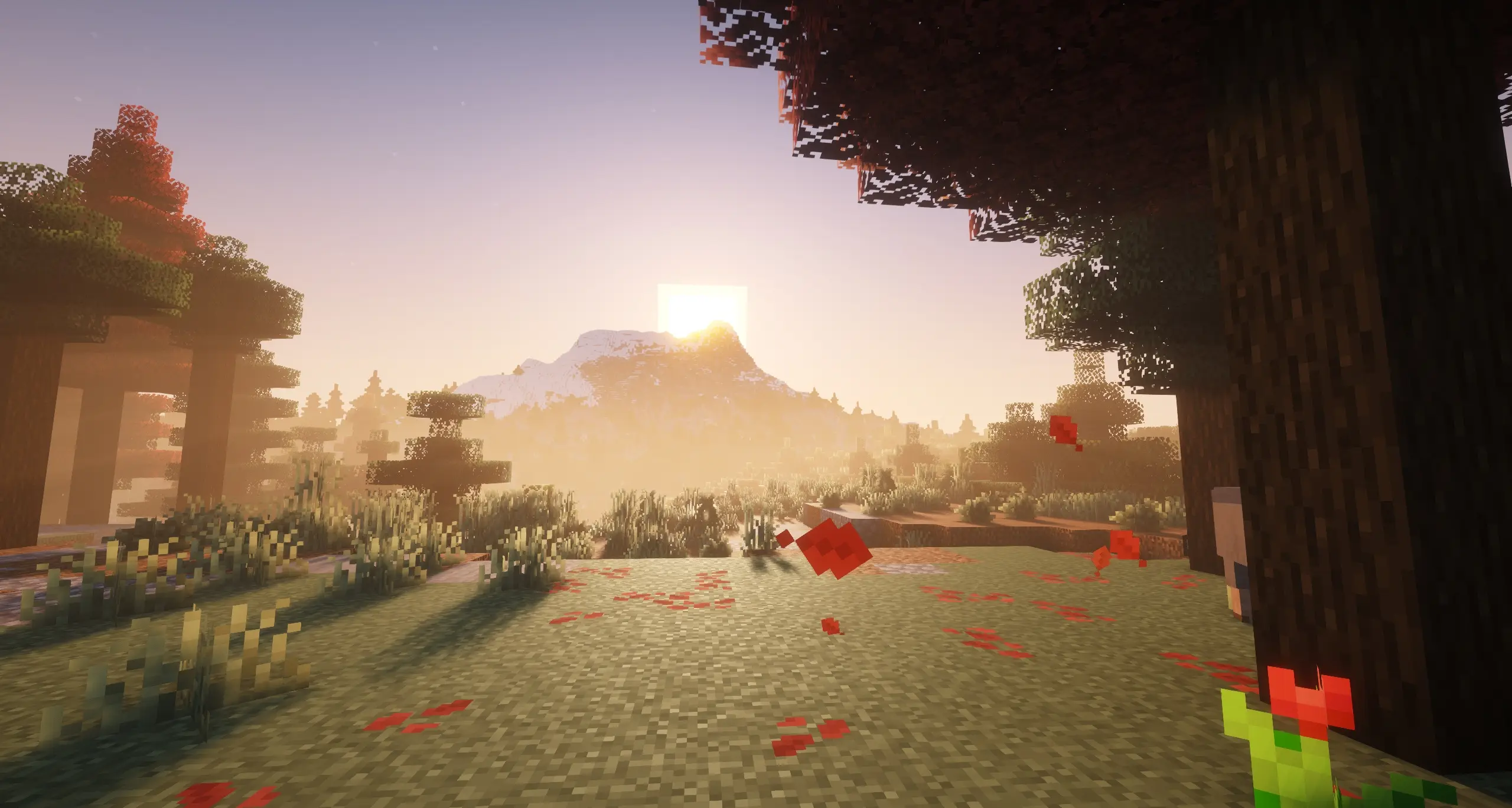 Image du jeu